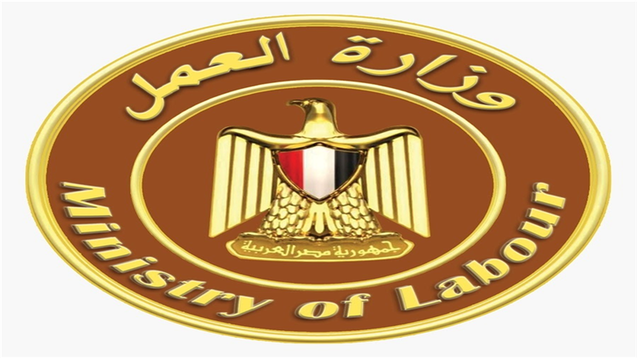 1200 منحة تدريبية مجانية من «العمل» لتأهيل الشباب.. ضوابط وخطوات التقديم